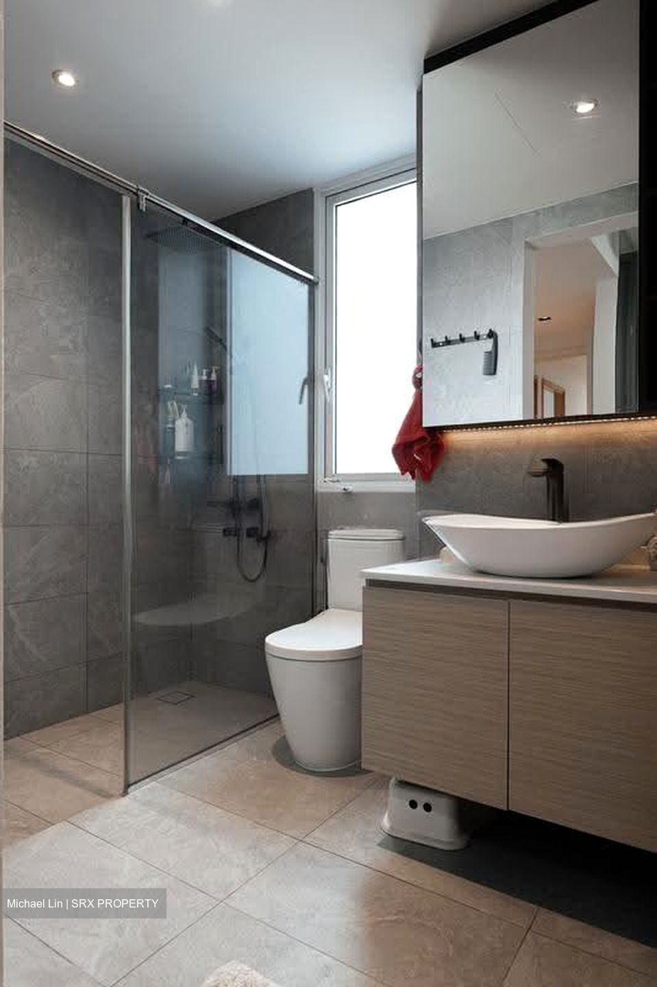 Waterview (D18), Condominium #619091331